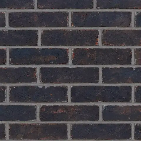 Кирпич ручной формовки Faber Jar Петровский Штандарт Черный 215x102x65 WDF